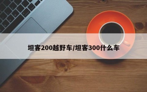 坦客200越野车/坦客300什么车