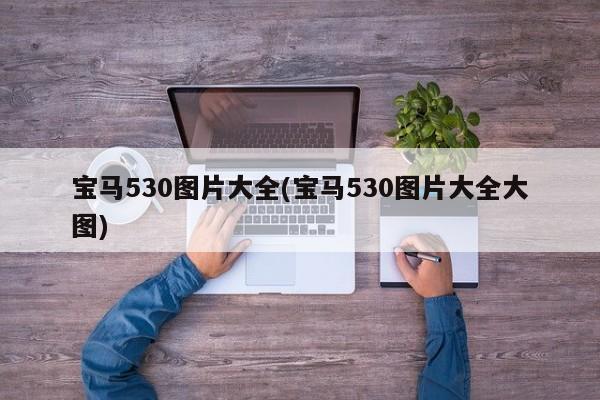 宝马530图片大全(宝马530图片大全大图)