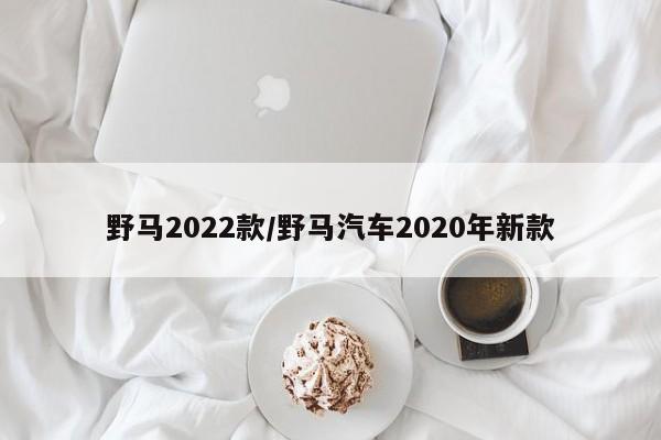 野马2022款/野马汽车2020年新款