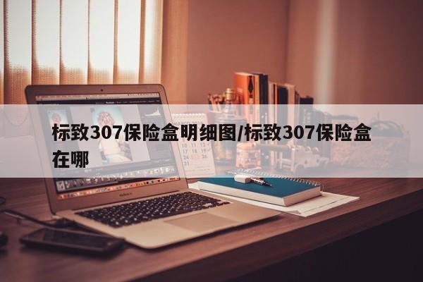 标致307保险盒明细图/标致307保险盒在哪