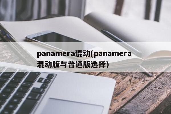 panamera混动(panamera 混动版与普通版选择)