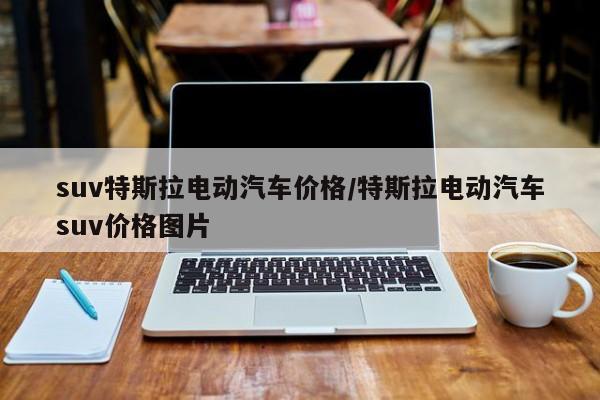 suv特斯拉电动汽车价格/特斯拉电动汽车suv价格图片